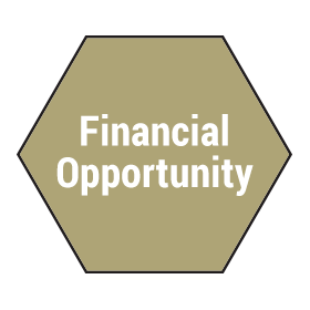financial-opportunity